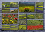 Tableau-HSchoepf